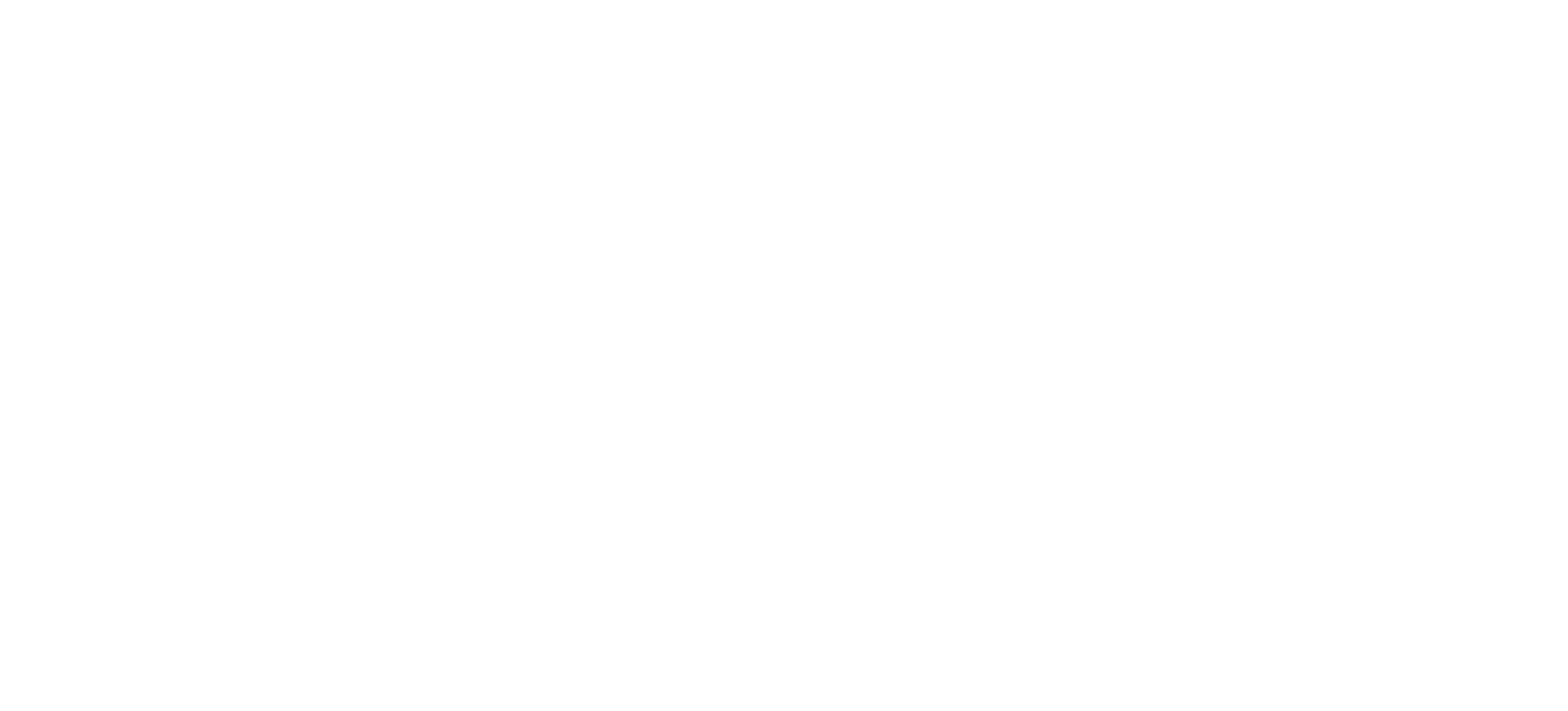 Sabesteel Shop
